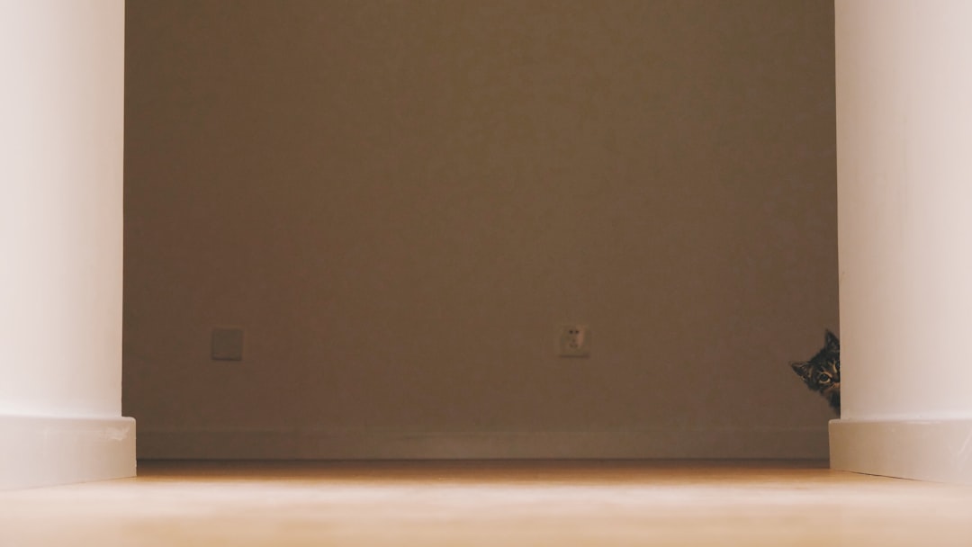 Person in pink hat stands against green wall